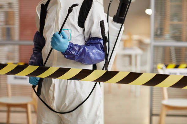 Professional Odor Removal technician working in Grove City, OH